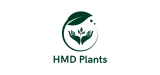 HMD Plants (2)